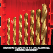Craftsman CMAM3211 gold screwdriving bits in red case, close-up, tool graphics category.