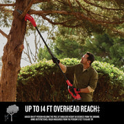 Photo of Craftsman pole saw CMCCSP20B trimming tree branches outdoors.