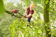 Photo of CRAFTSMAN CMCPS630B pole saw cutting tree branch outdoors among green leaves.