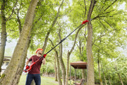 Photo of person using Craftsman pole saw CMCPS630B to trim tree branches in a backyard.