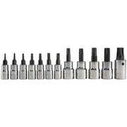Photo of CRAFTSMAN Torx bit socket set, chrome finish, model CMMT49293, straight angle, photography product.