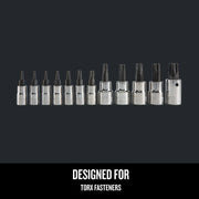 Photo of Craftsman Torx bit socket set SKU CMMT49293, 13-piece set in a row, chrome finish, front angle, white background.